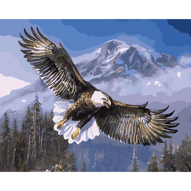 640x640 Soaring Eagle In The Sky Diy Painting By Numbers Natural Birds