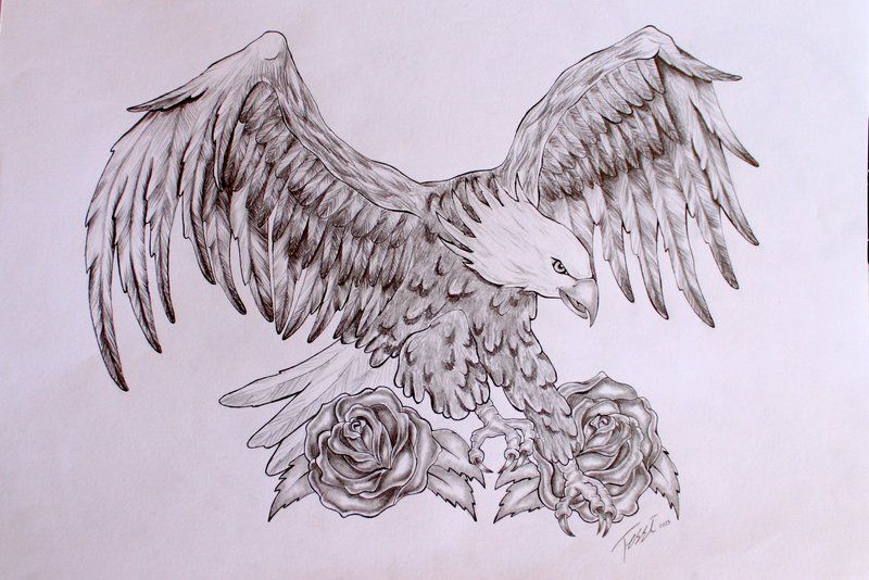 800x534 Eagle Tattoo Design By Theresedrawings On Inkedddd