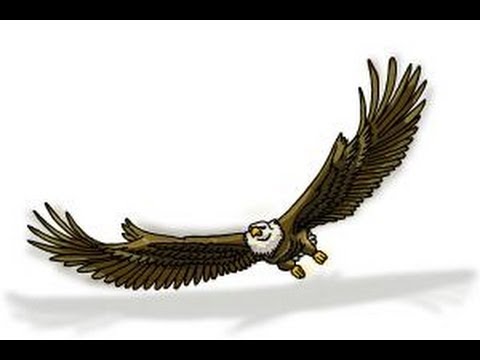 480x360 How To Draw Eagle Wings