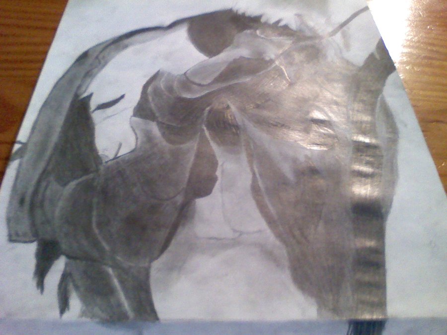 900x675 Eagle Wings Drawing By Fall3nheart