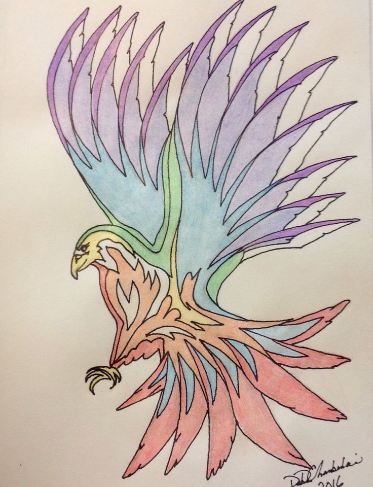 736x960 36 Best Eagles Images On Birds, Drawing Ideas And Drawings