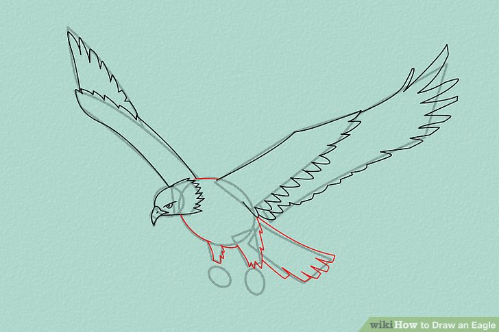 728x485 4 Ways To Draw An Eagle