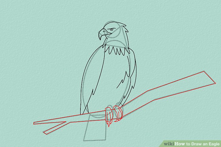 728x485 4 Ways To Draw An Eagle