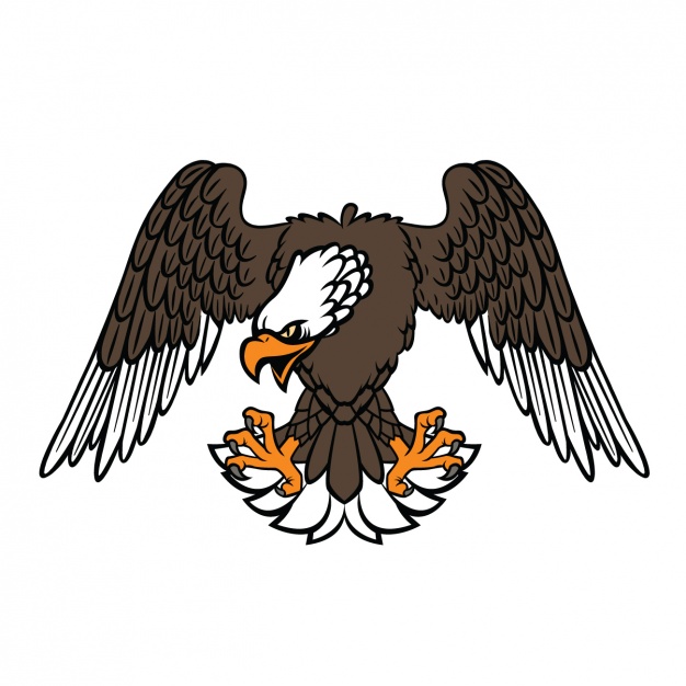 626x626 Eagle Vectors, Photos And Psd Files Free Download