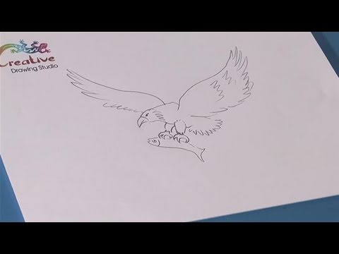 480x360 How To Learn To Draw An Eagle