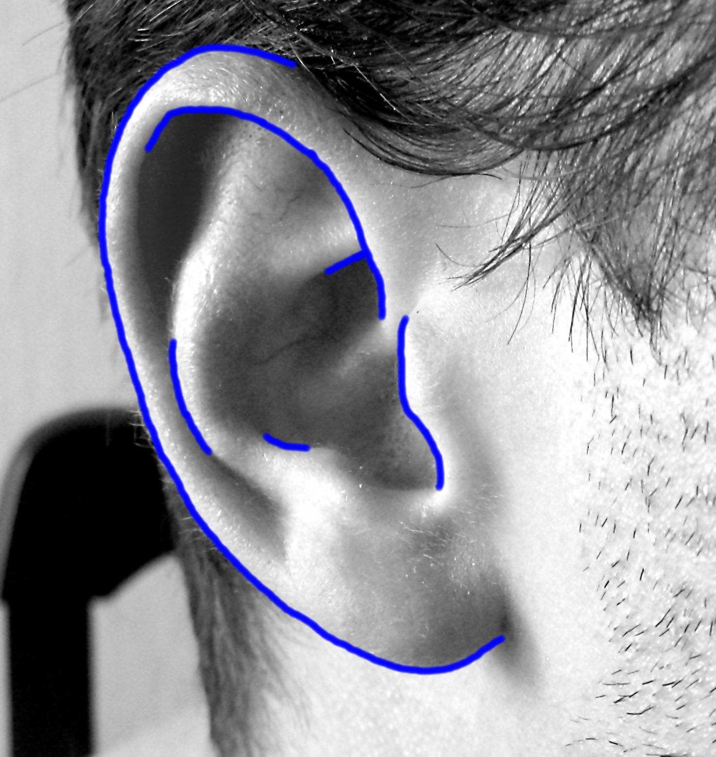 1474x1558 How To Draw A Realistic Ear