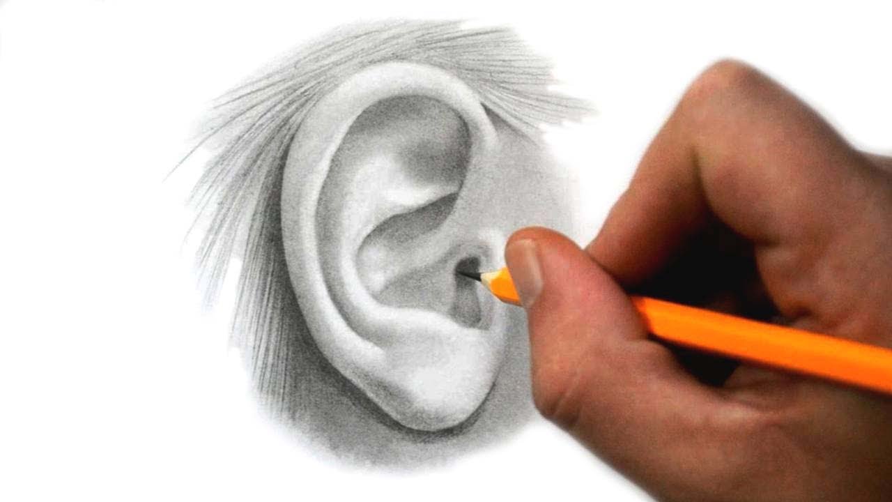 1280x720 How To Draw An Ear