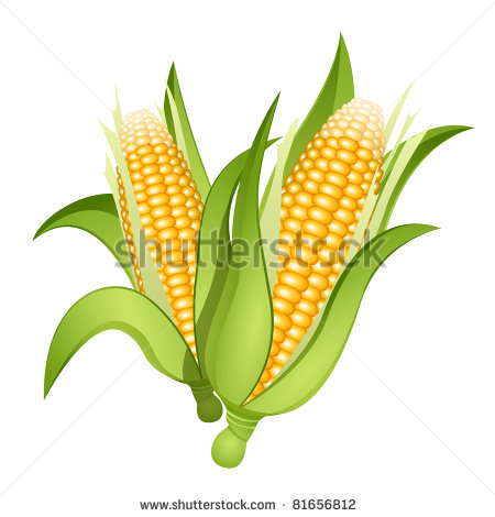 450x470 Corn Free Vector For Free Download About (81) Free Vector In Ai