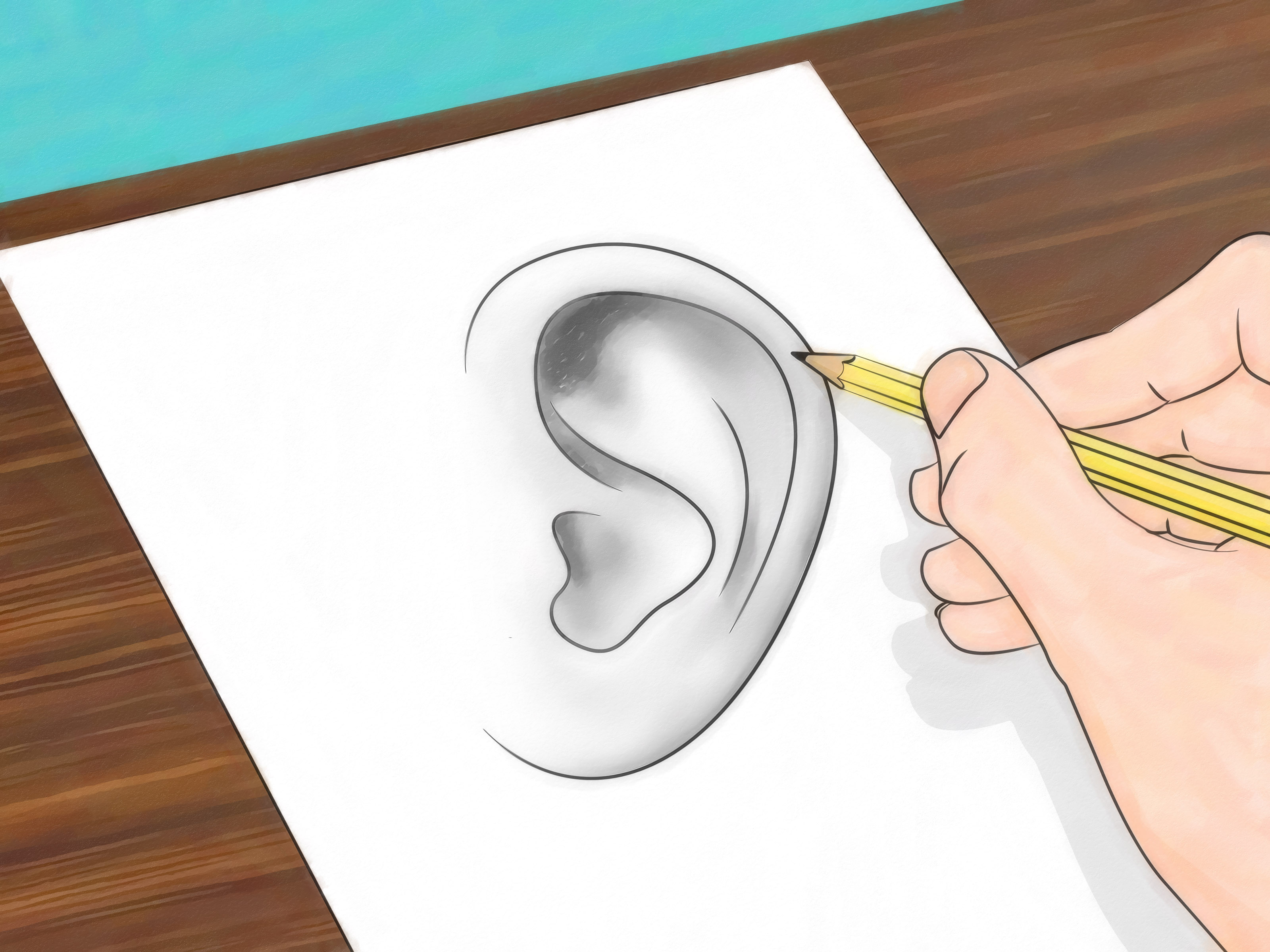 3200x2400 How To Draw Ears 6 Steps (With Pictures)
