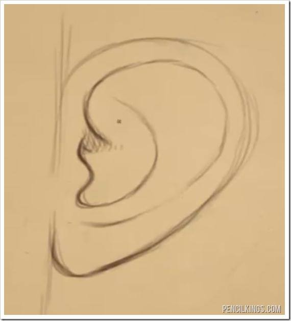 570x629 How To Draw An Ear From The Side Easily