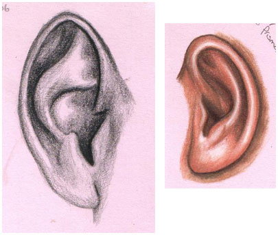 405x343 Shells Daily Drawing Edm Challenge