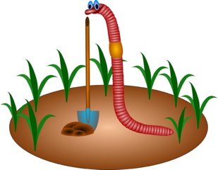 309x240 Earthworm Drawing Welcome Wildlife