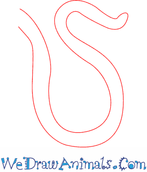 300x350 How To Draw A Worm