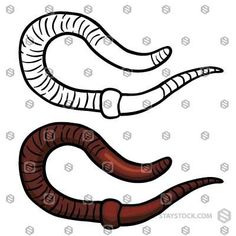 236x236 Sketch Earthworm Homeschool, Science Biology And Science Notebooks