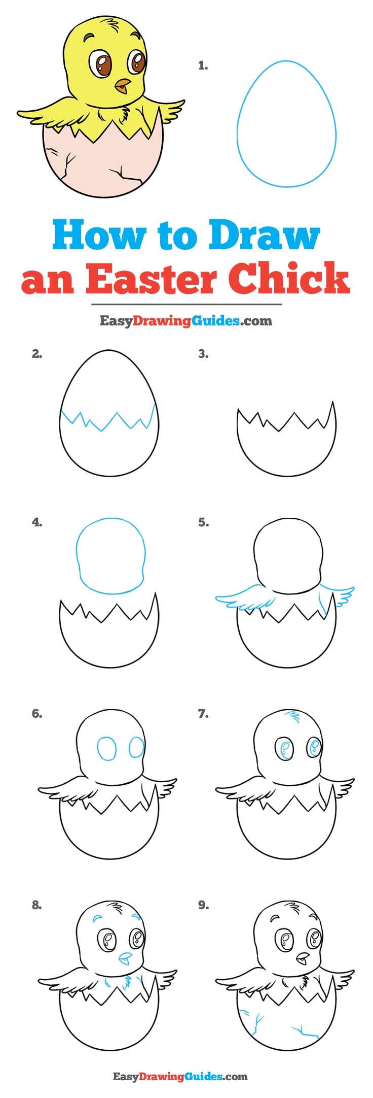 736x2163 How To Draw An Easter Chick