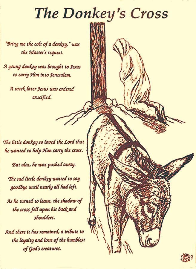 656x900 The Donkey's Cross A Sweet Story Of Jesus. Inspirational Quotes