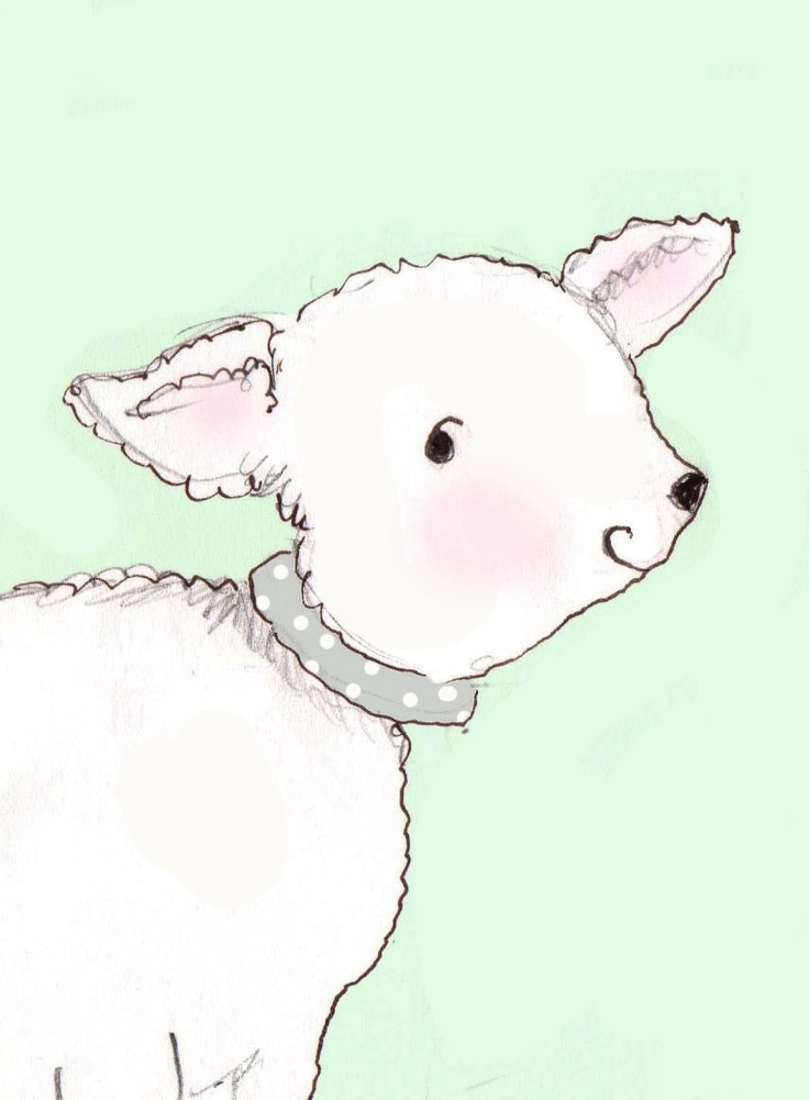 736x1001 1815 Best Sheep N Lambs Images On Sheep, Adorable