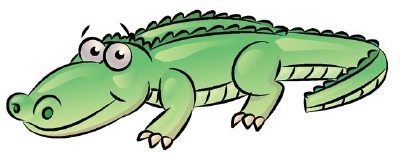 400x162 How To Draw An Alligator Howstuffworks