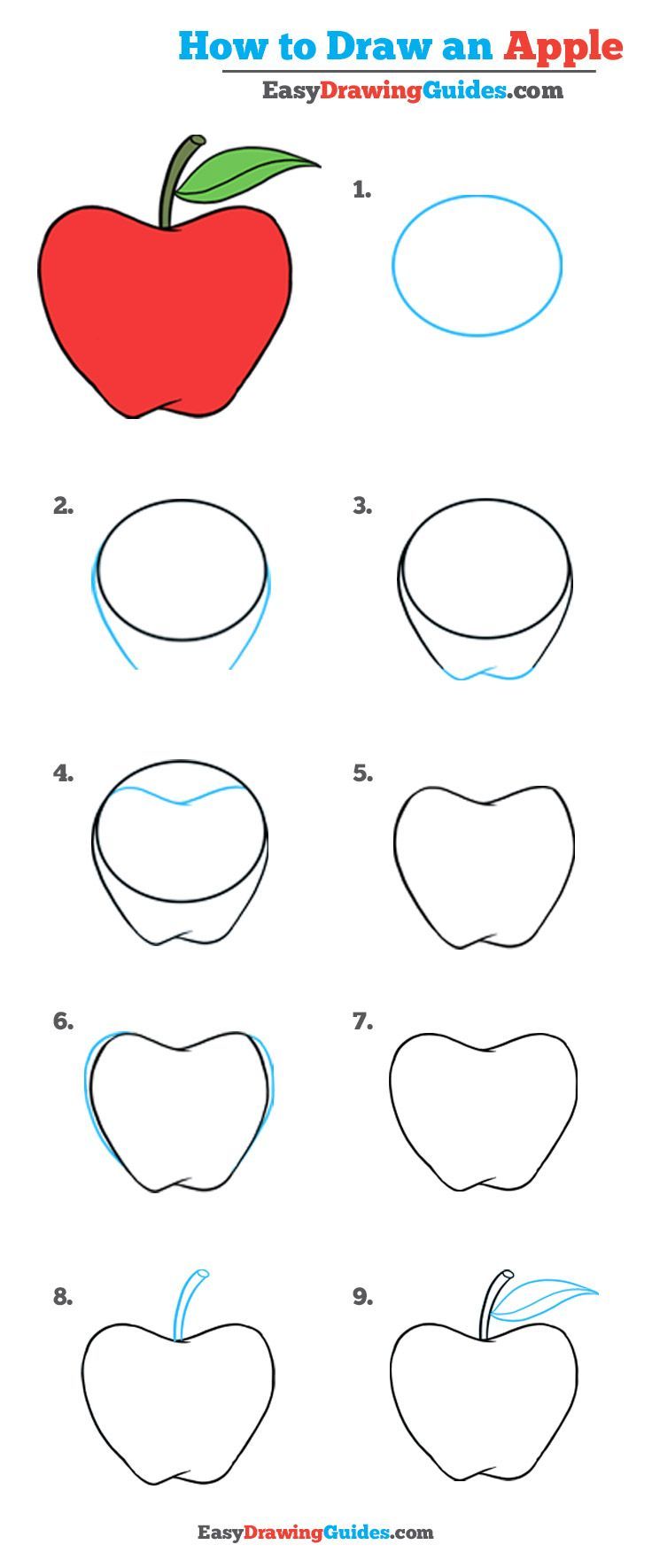 736x1770 How To Draw An Apple Really Easy Drawing Tutorial Easy Drawing