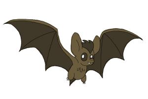 300x200 How To Draw A Rose Step By Step For Beginners