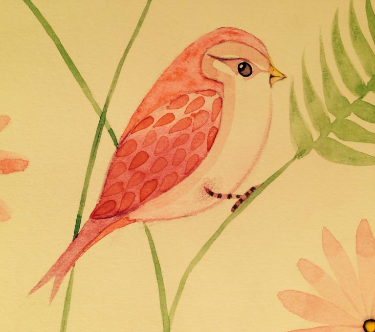 767x680 Bird. Birds. Drawings. Pictures. Drawings Ideas For Kids. Easy