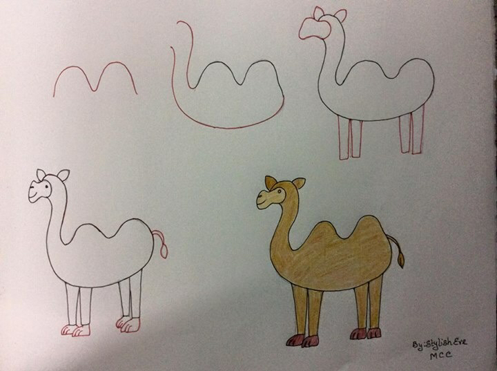 720x537 Easy Camel Brewco Quotes Camels And Easy