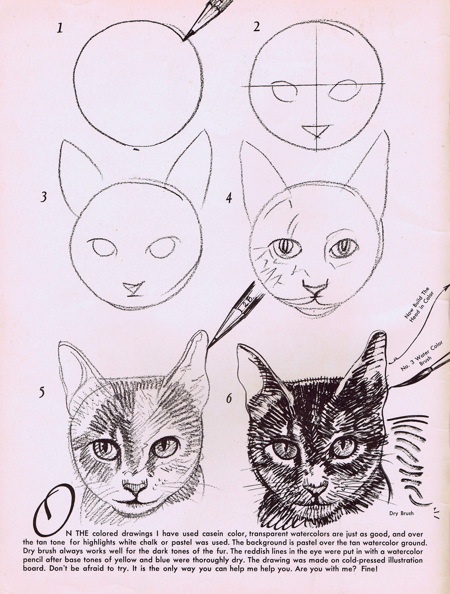 450x594 How To Draw Cats Step By Step Drawing Tutorial.