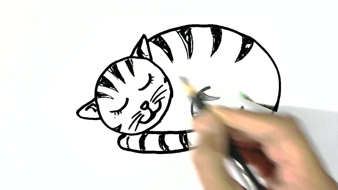 1280x720 Sleeping Cat Drawing How To Draw Sleeping Cat In Easy Steps