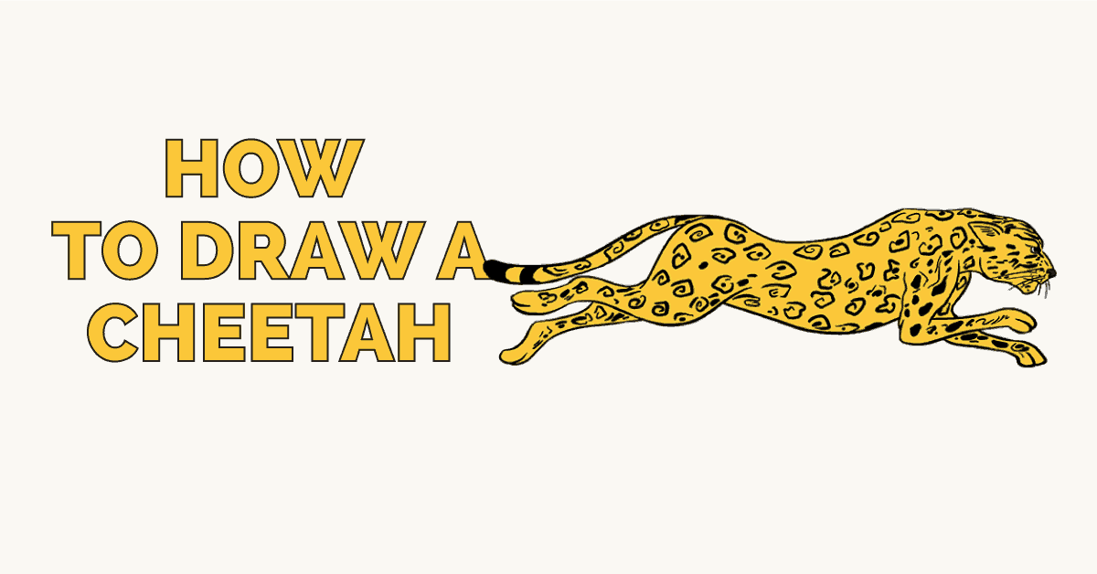 1200x628 How To Draw A Cheetah In A Few Easy Steps Easy Drawing Guides