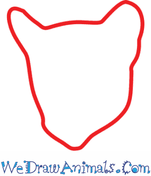 300x350 How To Draw A Cougar