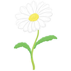 250x250 How To Draw A Daisy Step By Step