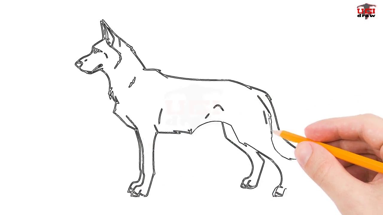 1280x720 How To Draw A German Shepherd Step By Step Easy For Beginners