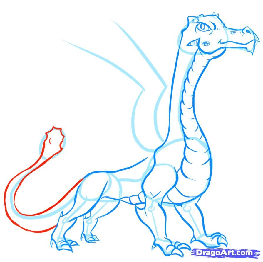 895x894 How To Draw Easy Dragons Step 14 Dragons