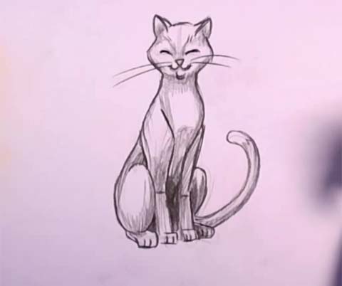 480x402 How To Draw A Cat In Pencil