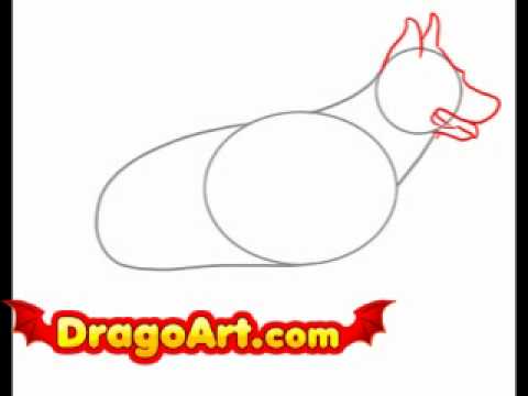 480x360 How To Draw A Realistic Dog, Step By Step