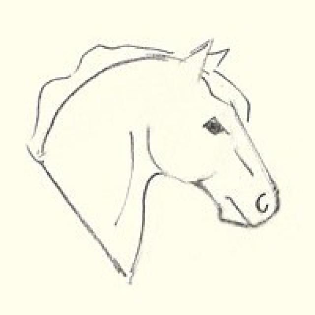640x640 Learn How To Draw A Horse's Head Drawings, Horse And Horse Head