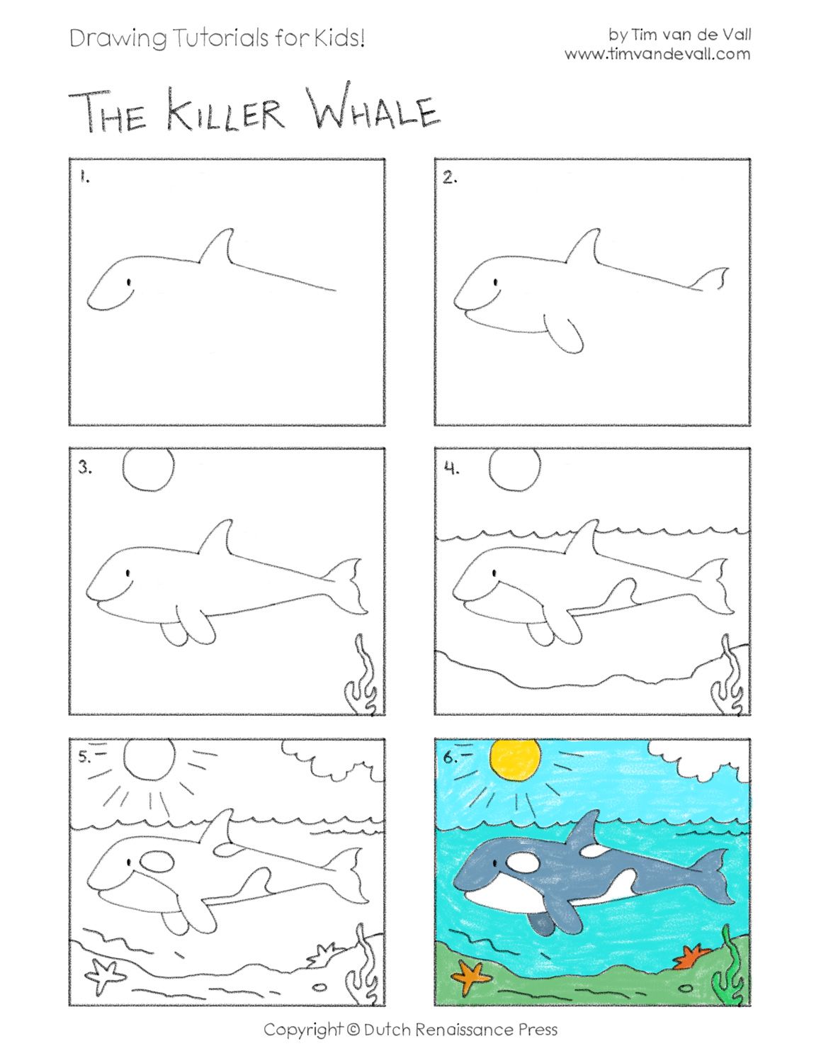 1159x1500 Draw A Killer Whale.jpg Pixels Elementary Lesson