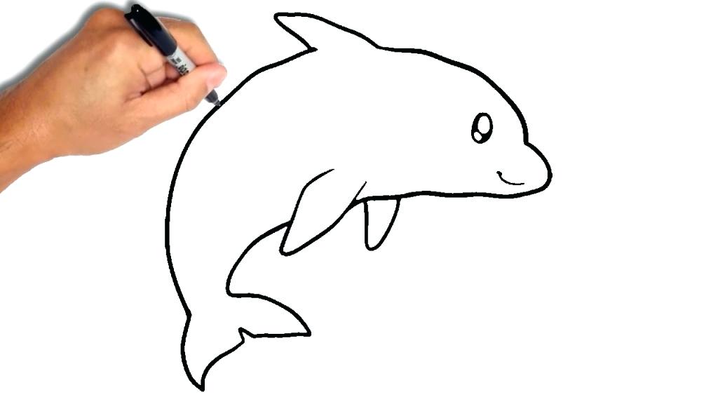 1024x576 Draw A Dolphin Easy