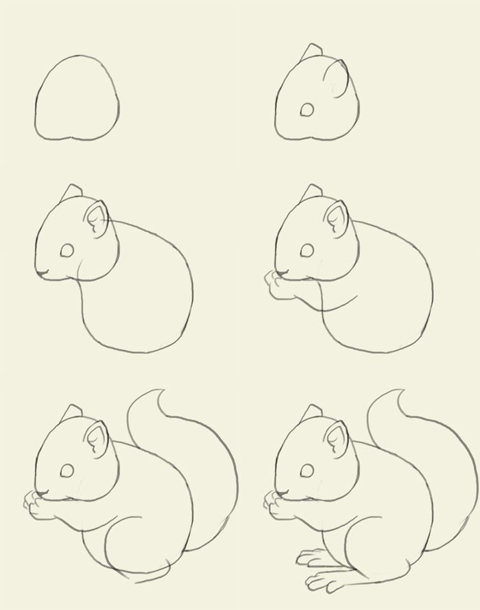 700x889 Just In Case, Ya Know, You Ever Need To Draw A Squirrel