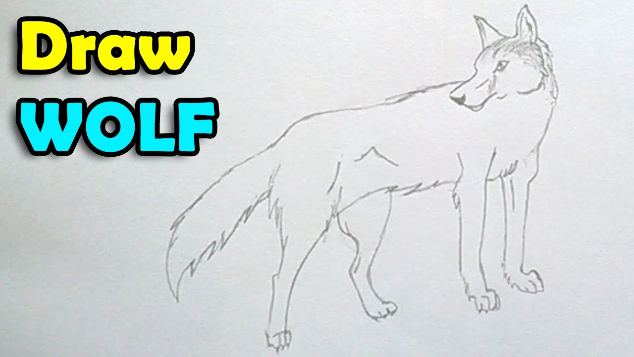 1280x720 How To Draw A Wolf Step By Step Easy For Kids