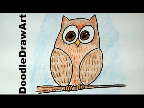 480x360 How To Draw An Easy Wise Old Owl Cartoon
