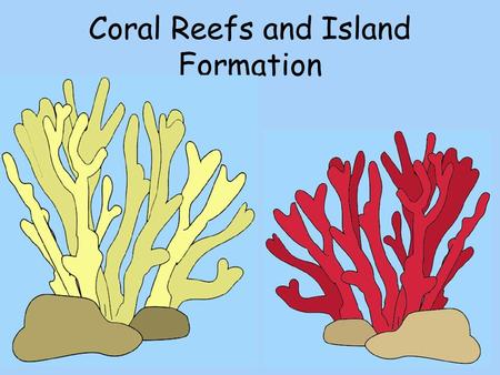 Easy Drawing Of Coral Reef at GetDrawings | Free download