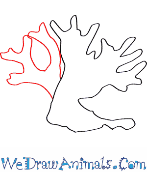 300x350 How To Draw A Fire Coral