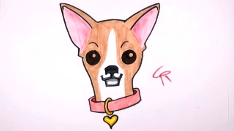 800x450 How To Draw A Cute Husky Dog