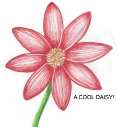 236x252 Image Detail For Go Back From How To Draw Cartoon Flowers To Home