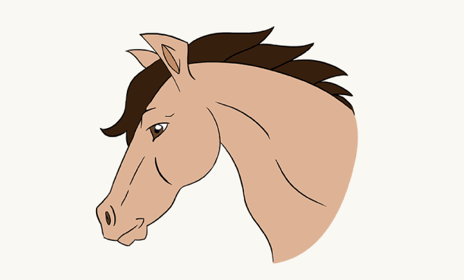 662x400 How To Draw Horse Head Tutorial Header.png Horses