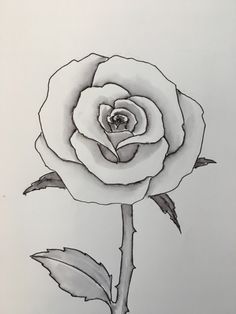 236x314 How To Draw A Rose Tutorial