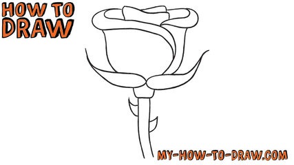 427x240 How To Draw A Rose
