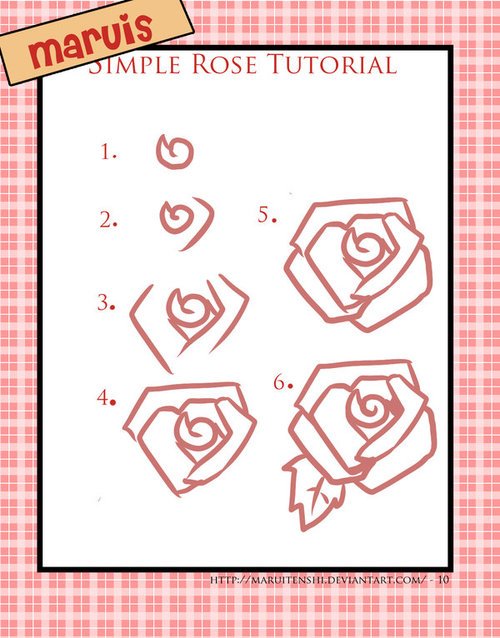 500x638 How To Draw Roses