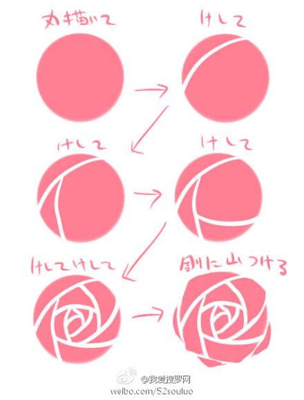 440x578 Let's Draw Rose!